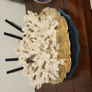 Coral decor beautiful